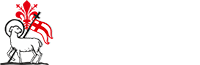 CCIAA Firenze