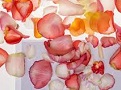 petali