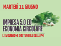 immagine decorativa