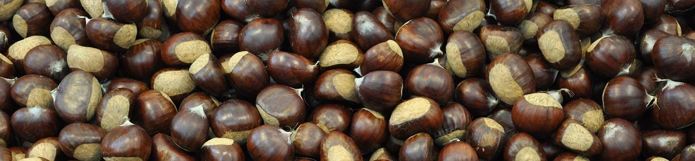Castanea Expo 2025 Castagne